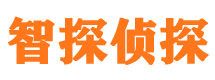 金塔市私家侦探